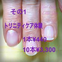 画像1026