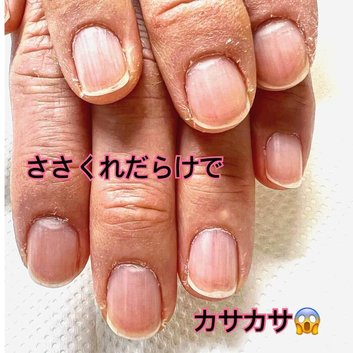 画像1054