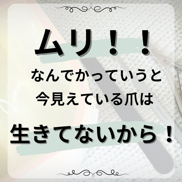 画像1086