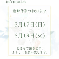 画像1111