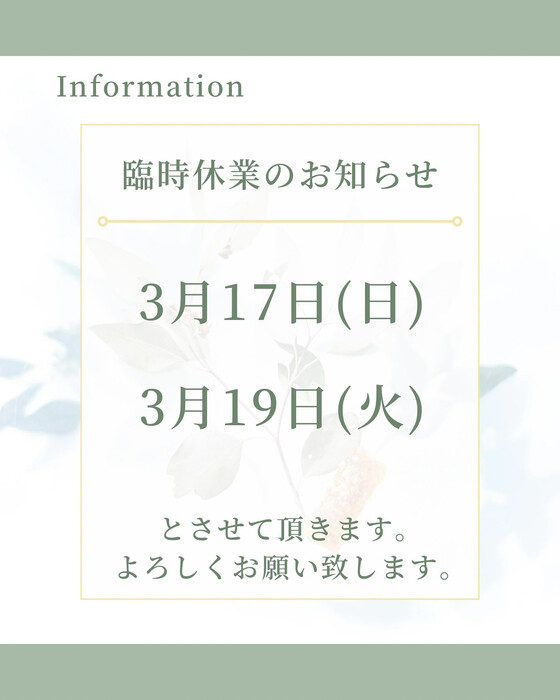 画像1111