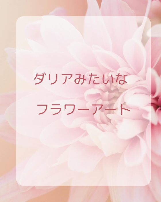 画像1197