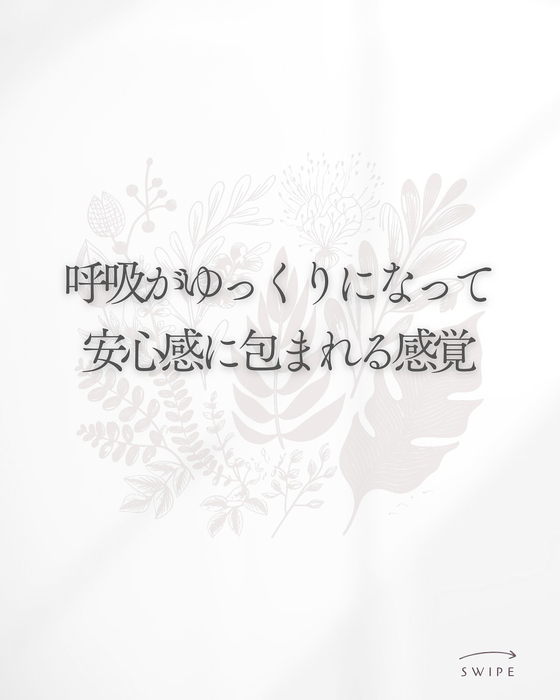 画像1479