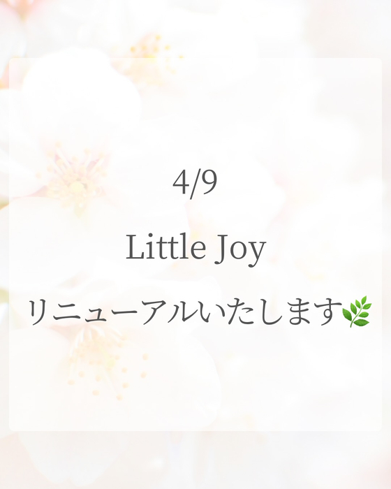 画像1652