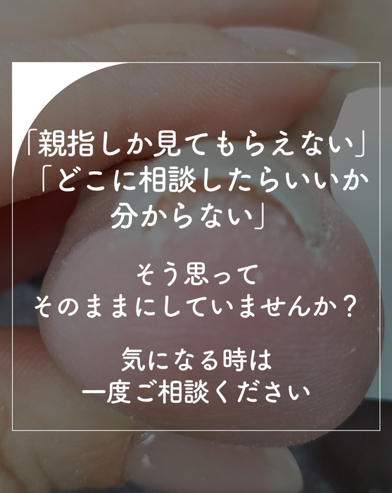 画像1854