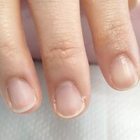 画像439