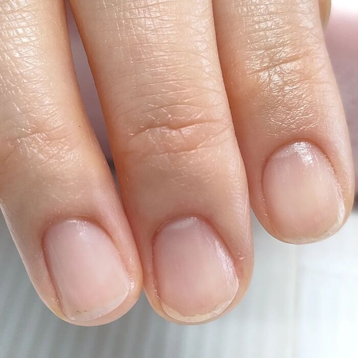 画像440