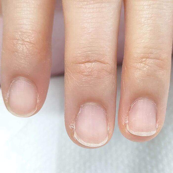 画像441
