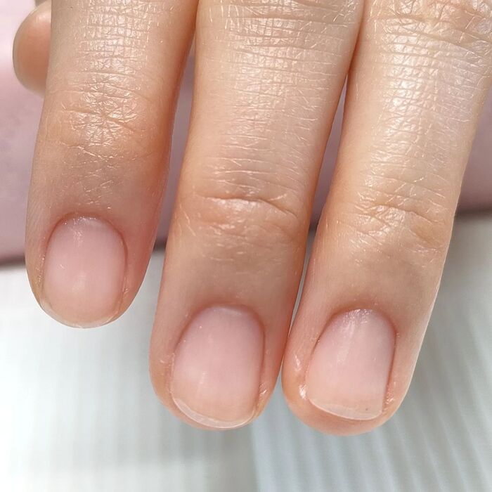 画像442